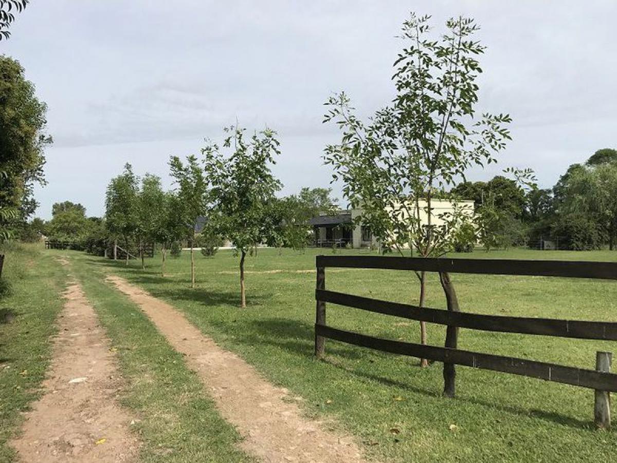  Land in San Antonio de Areco, Argentina No. 47475