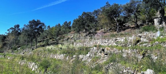 Terrain à Arcos de Valdevez, Portugal No. 73135 4