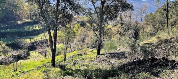 Terrain à Arcos de Valdevez, Portugal No. 73135 6