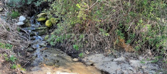 Terrain à Arcos de Valdevez, Portugal No. 73135 12