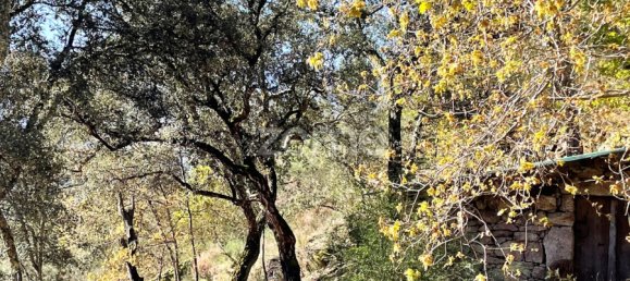 Terrain à Arcos de Valdevez, Portugal No. 73135 3