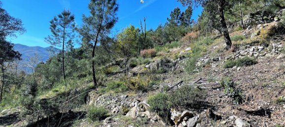 Terrain à Arcos de Valdevez, Portugal No. 73135 5