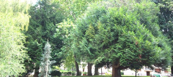 3 bedrooms Apartment in Bourg-la-Reine, France No. 280132 8