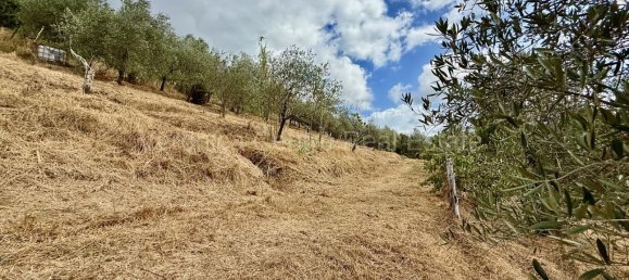 4 غرف نوم منزل في Lucca, Italy رقم 270897 18