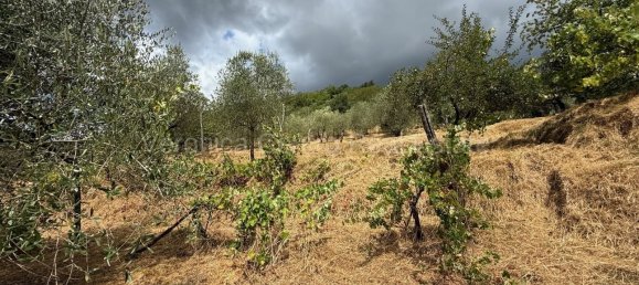 4 غرف نوم منزل في Lucca, Italy رقم 270897 26