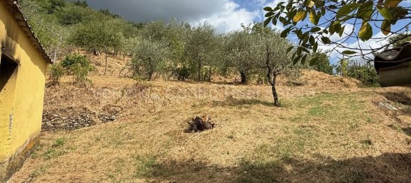 4 غرف نوم منزل في Lucca, Italy رقم 270897 30