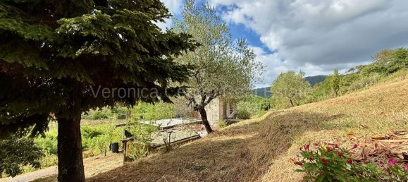 4 غرف نوم منزل في Lucca, Italy رقم 270897 50