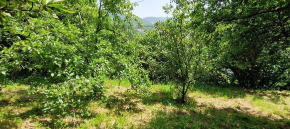 4 Schlafzimmer Haus in Occitanie, France, Nr. 316494 17