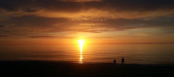 3 rooms Penthouse in Badesi, Italy No. 286219 32