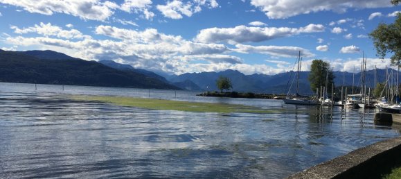 15210m² Commercial property in Brebbia, Italy No. 360940 15