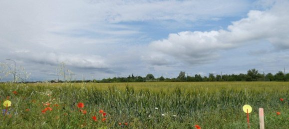 2950m² Land in Gattendorf, Austria No. 155838 4