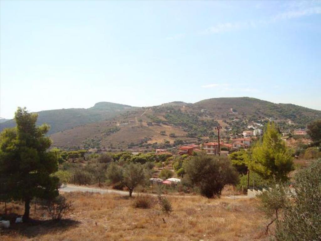  فندق في Kalyvia Thorikou, Greece 9780متر مربع رقم 7698