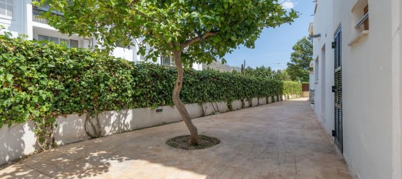 3 غرف نوم شقة في Pollenca, Spain رقم 177410 35