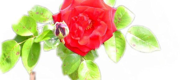 2 bedrooms Apartment in Brigittenau, Austria No. 171876 15