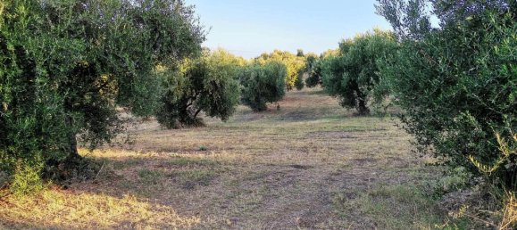  فندق في Elis, Greece 6253متر مربع رقم 53252 3