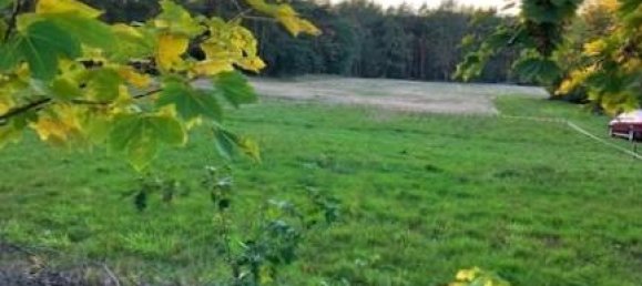  Land in Potsdam-Mittelmark, Germany No. 38949 3