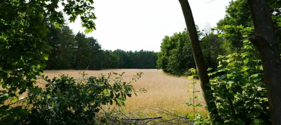  Land in Potsdam-Mittelmark, Germany No. 38949 7