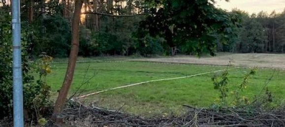  Land in Potsdam-Mittelmark, Germany No. 38949 10