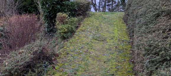 10 rooms House in Ortenaukreis, Germany No. 5456 11