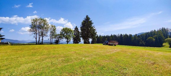  Land in St. Peter am Kammersberg, Austria No. 153360 10