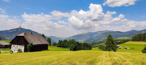  Land in St. Peter am Kammersberg, Austria No. 153360 13