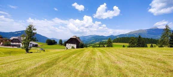  Land in St. Peter am Kammersberg, Austria No. 153360 11