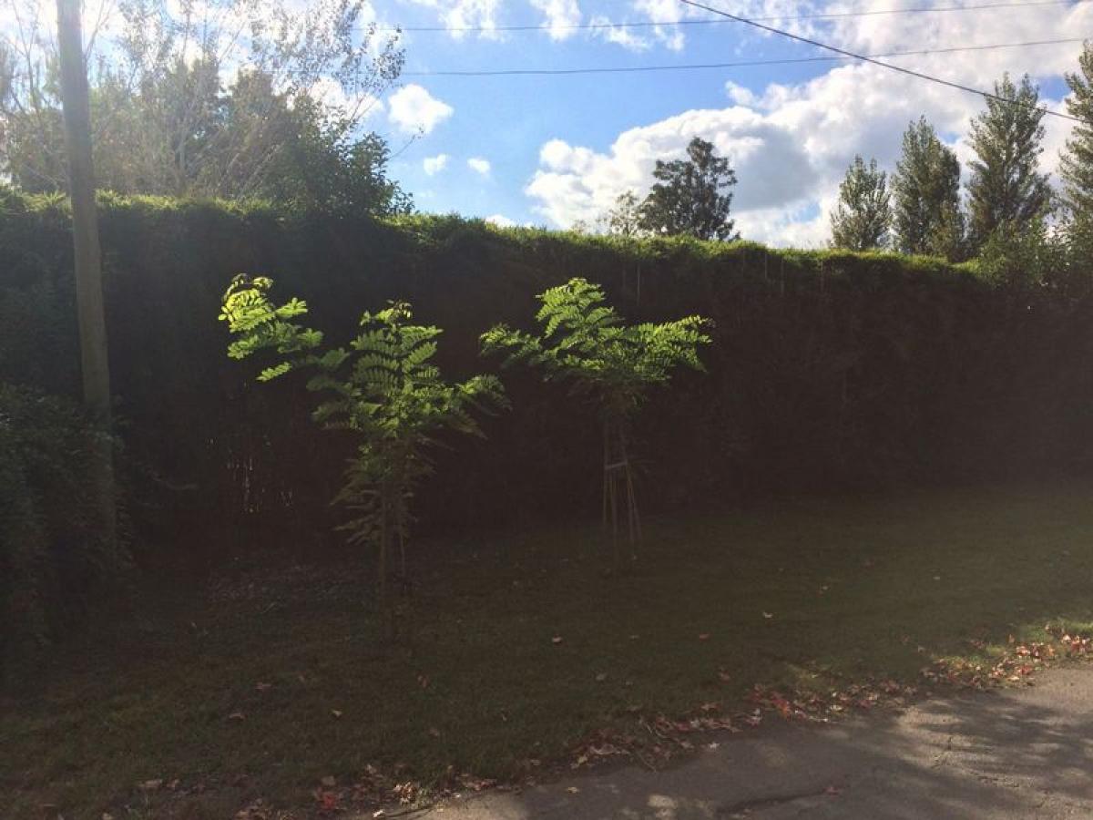 Земельный участок в Сан Мигель, Аргентина № 44906