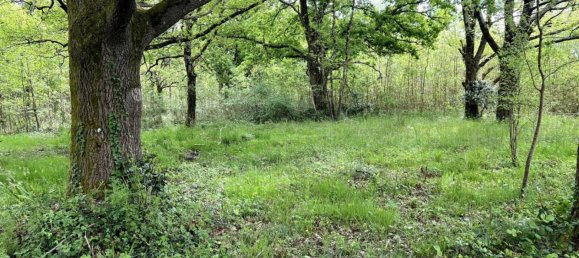 Villa de 5 dormitorios en Le Chateau-d'Oleron, France No. 294005 5