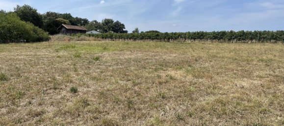 1136m² Land in Marmande, France No. 306843 2