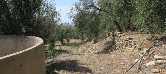 5 rooms Land in San Bartolomeo al Mare, Italy No. 6534 8