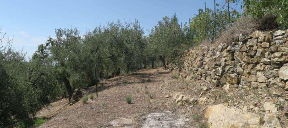 5 rooms Land in San Bartolomeo al Mare, Italy No. 6534 15