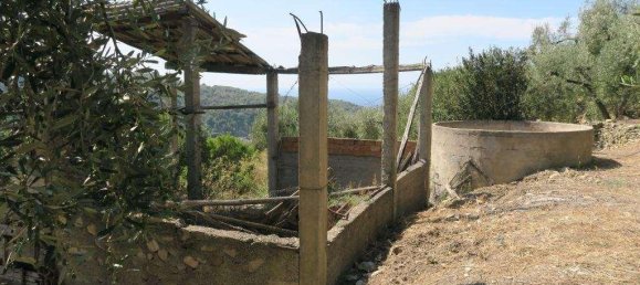 5 rooms Land in San Bartolomeo al Mare, Italy No. 6534 11