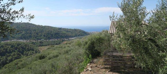 5 rooms Land in San Bartolomeo al Mare, Italy No. 6534 4