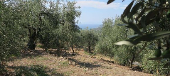 5 rooms Land in San Bartolomeo al Mare, Italy No. 6534 2