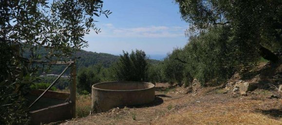 5 rooms Land in San Bartolomeo al Mare, Italy No. 6534 3