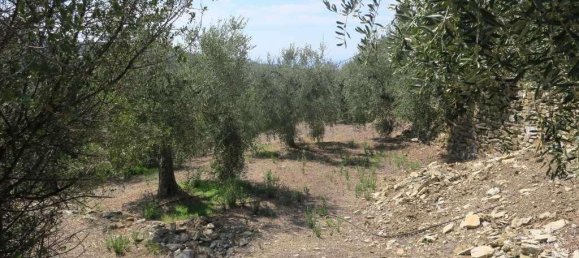 5 rooms Land in San Bartolomeo al Mare, Italy No. 6534 9