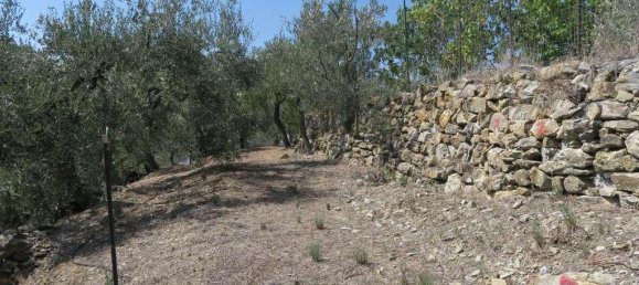 5 rooms Land in San Bartolomeo al Mare, Italy No. 6534 14