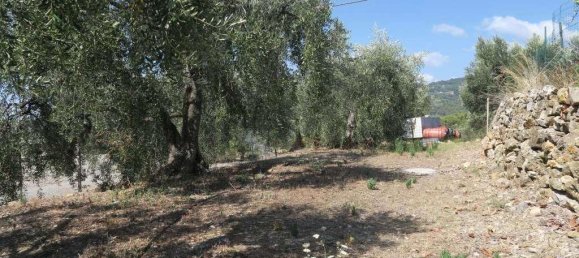 5 rooms Land in San Bartolomeo al Mare, Italy No. 6534 17