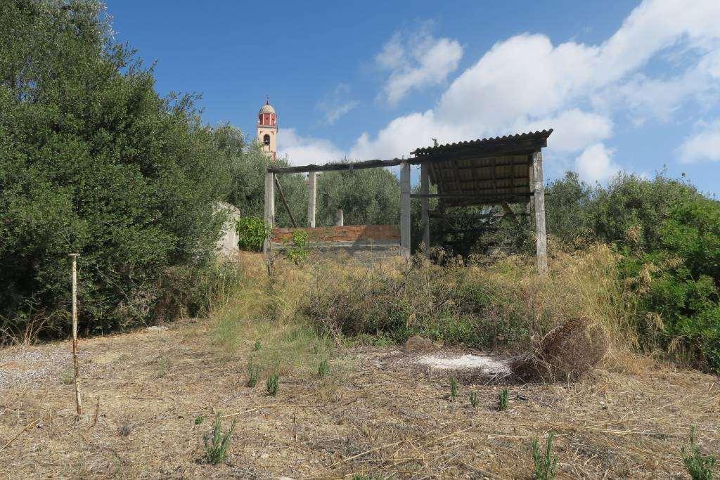 5 rooms Land in San Bartolomeo al Mare, Italy No. 6534