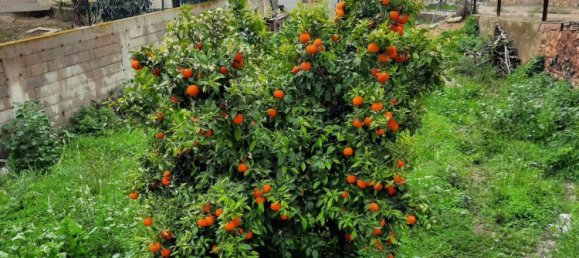  قطعة أرض في Alicante, Spain 805متر مربع رقم 159611 4