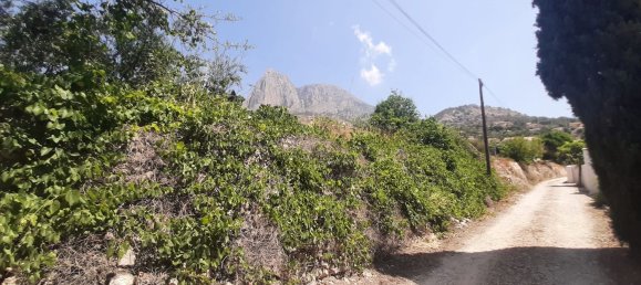  قطعة أرض في Alicante, Spain 805متر مربع رقم 159611 5