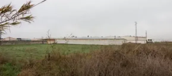 4000m² Warehouse in Pulianas, Spain No. 138893 41