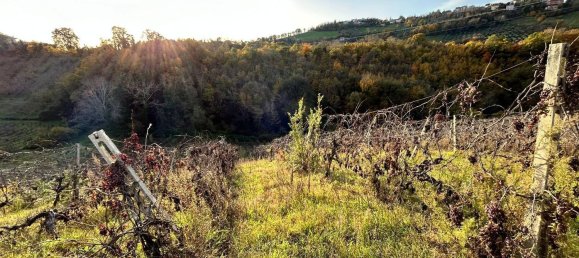 6-Zimmer Haus in Castignano, Italy, Nr. 85662 21