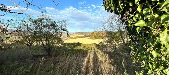 6-Zimmer Haus in Castignano, Italy, Nr. 85662 18