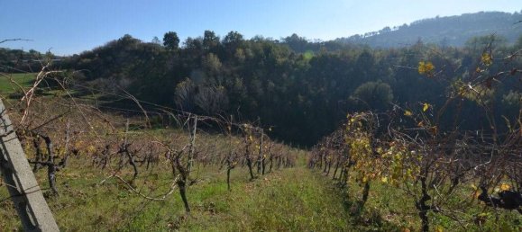 6-Zimmer Haus in Castignano, Italy, Nr. 85662 32