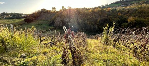 6-Zimmer Haus in Castignano, Italy, Nr. 85662 20