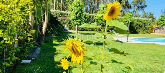 5 Schlafzimmer Villa in Anha, Portugal, Nr. 84035 3