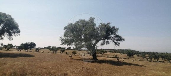 3 bedrooms House in Montalvao, Portugal No. 18256 34