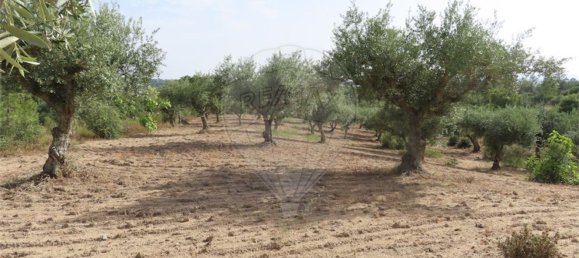 Casa T1 em Castelo Branco, Portugal N.º 73904 43