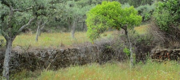 Casa T1 em Castelo Branco, Portugal N.º 73904 16